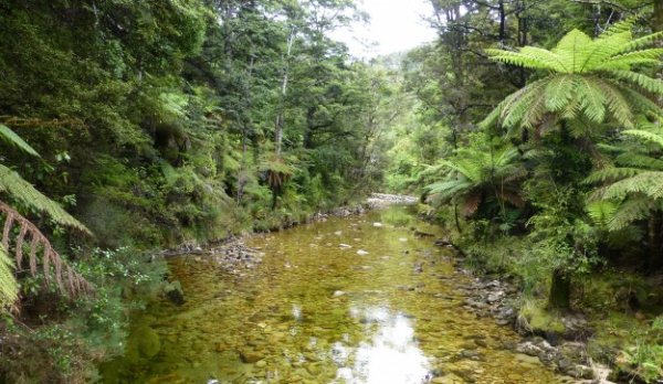 A Nature-Made Waterslide in Abel Tasman, New Zealand (Video)