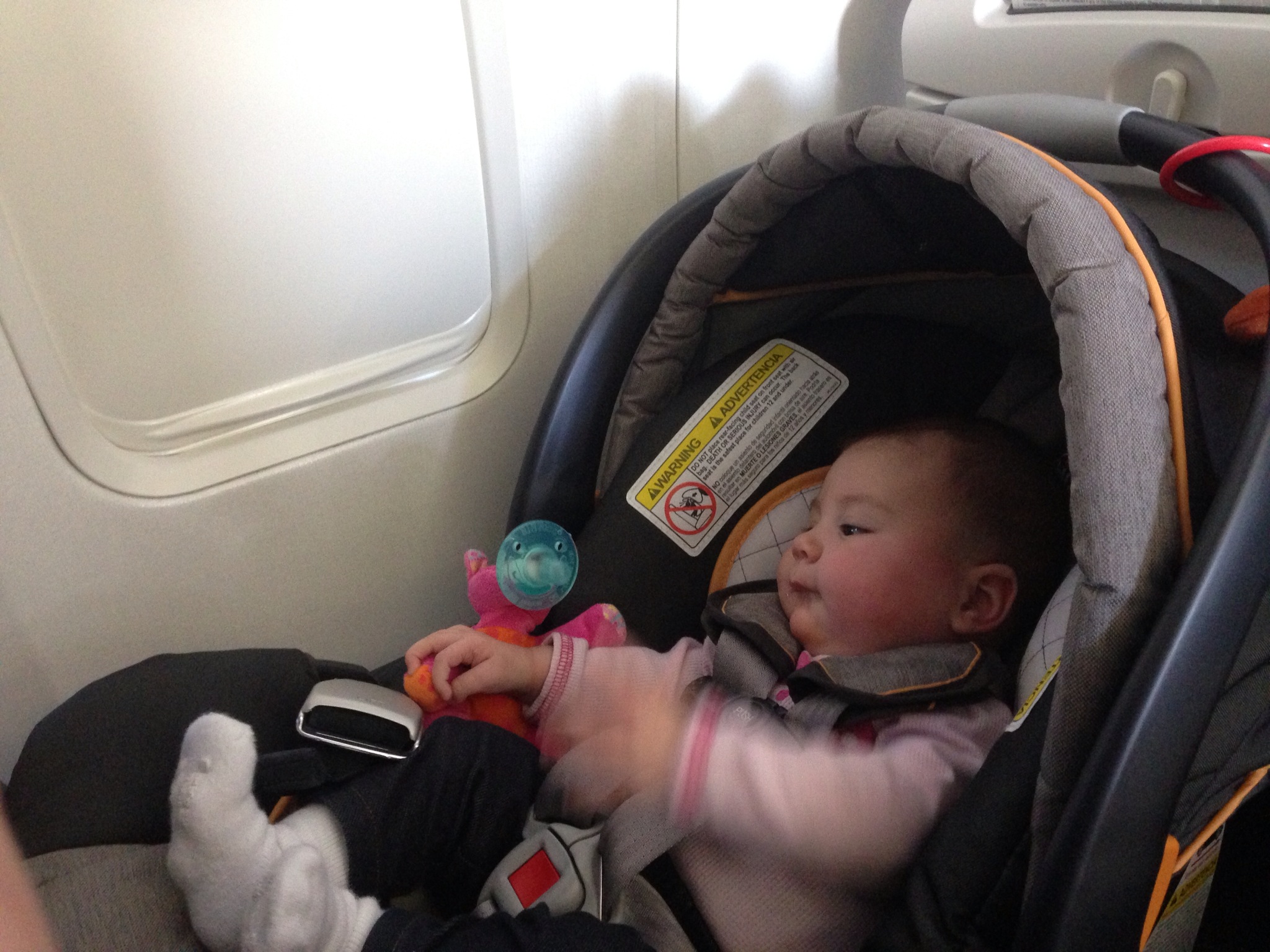 plane travel with 8 month old baby