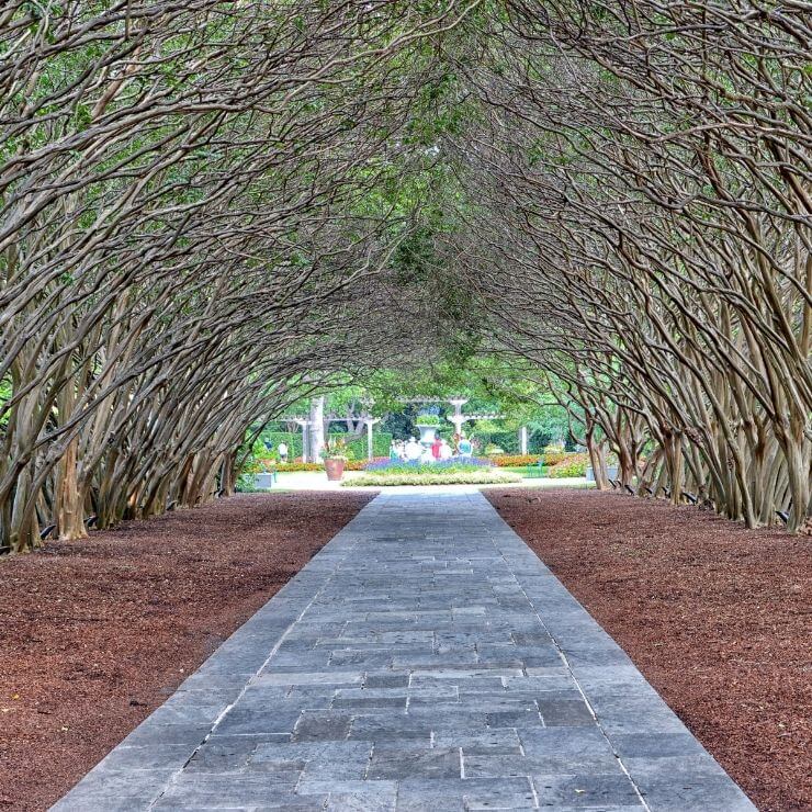 Archway at the Dallas Arboretum