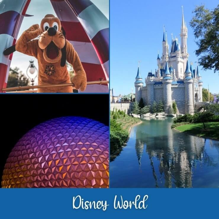 Experience the magic of Disney World on a day trip to the most magical place on earth while in Florida. 