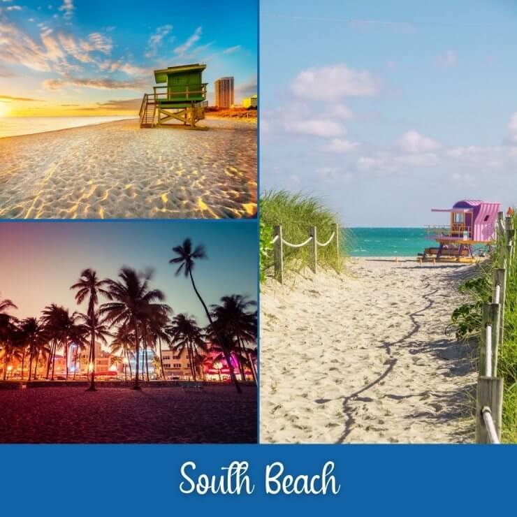 Experience the glitz and glam and beach life of Miami with a day trip to South Beach. 