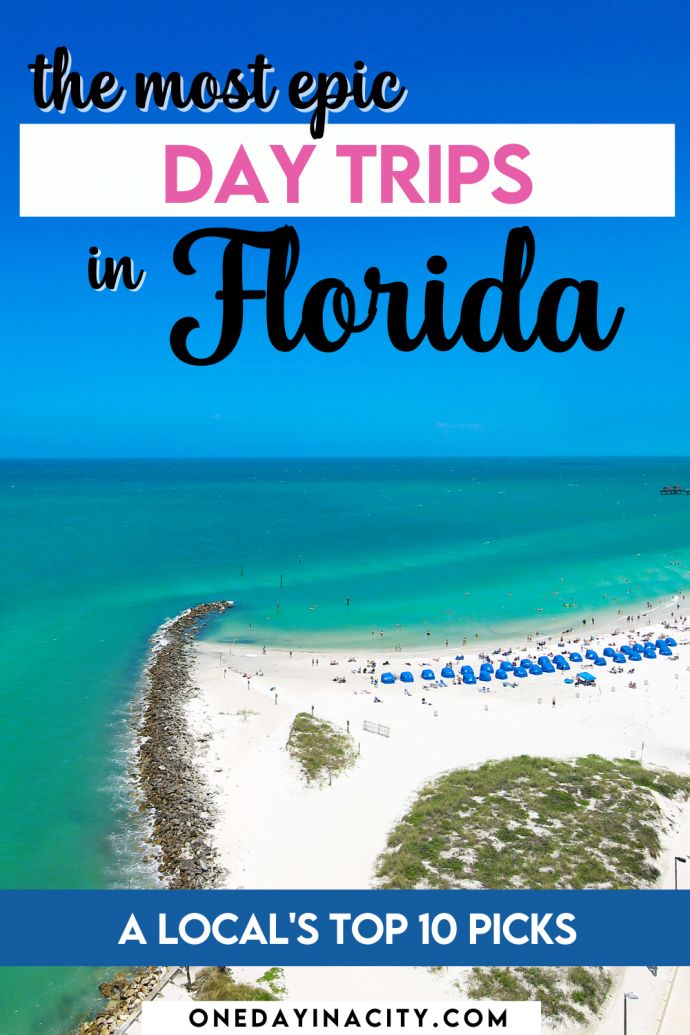 Best Florida Day Trips: A Local's Guide to the Top 10 Day Trips in Florida